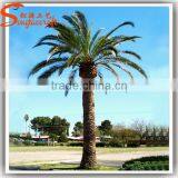 Top Selling Popular Outdoor Artificial Palm Tree For Sale thumbnail-1