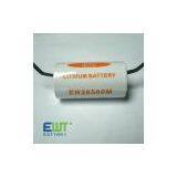 Lithium Battery thumbnail-3