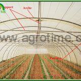 2019 Low Cost Single Tunnel Plastic Film Greenhouse With Hydroponic System for Vegetables thumbnail-4