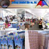 Weifang Yuanfei Kite CO.,Ltd. company overview - view 1 thumbnail