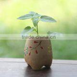 Chinese Cheap Ceramic Flower Pots Wholesale thumbnail-2