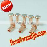 Hollow Brass Tubular Rivets for Sale
