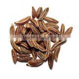 Caraway Oil (Brand AOS) thumbnail-1