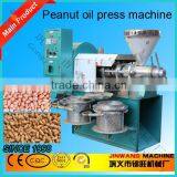 6YL-60 Screw Cold Peanut Oil Processing Machine for Senegal thumbnail-2
