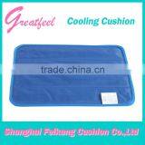 New Seat Cold Pack on China Markets