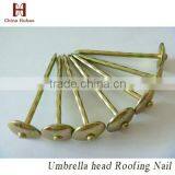 Supply high quality yellow zinc roofing nails