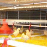 Competitive Prices Galvanized Chicken Coop for Broiler thumbnail-2