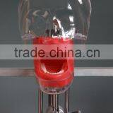 Best Selling Simple Head Model for Dental Class High Quality Simple Cheap Surgical Training Model for Dentistry Students
