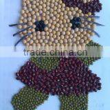 Soybean/soya Bean, Soybean Seeds, Soya Bean Seeds( New Crop, Heilongjiang Origin) thumbnail-1