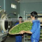 Oishi Green Tea SP2 ( Super Pekoe 2 ) is Famous Tea Brands From World Famous Tea Paris Viet Nam thumbnail-6