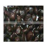 Tamarind Seed / Tamarind Seed Powder thumbnail-1