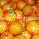 Fresh Sweet Pomelos thumbnail-5