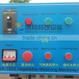 WA-1000 Automatic Washer Type and New Condition Vegetable Seafood Fruits Bubble Processing Cleaning Machine thumbnail-6