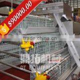 Design Automatic Equipment A Type Hot Galvanized Automatic Design Chicken Cage for Broilers and Baby Chicks