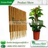 Coconut Stick thumbnail-1