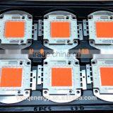 VANQ100W LED Chip Cool White Bulb High Power Energy Saving Lamp Chip thumbnail-3