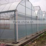 Arch Pipes Poly Multi-span Greenhouse for Vegetables thumbnail-3