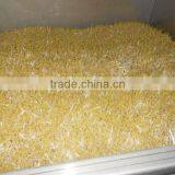 US Design Automatic Bean Sprout Machine thumbnail-3