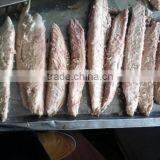 Frozen Bonito Whole Round thumbnail-1