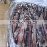 Frozen Chinensis Illex Squid thumbnail-1
