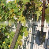 Black Wooden Handle Garden Camping Shovel With Scale thumbnail-4