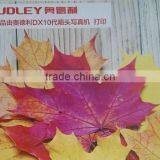 Audley 1.9m Multicolor Dx7 Head Eco Solvent Printer ADL-A1971 thumbnail-6