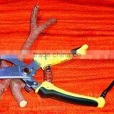 BY-pass Pruners thumbnail-3