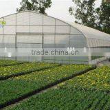 Agricltural Plastic Film Covering Greenhouse Tunnel thumbnail-1