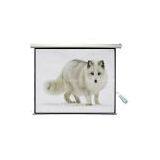 150 Inch Electric Projection Screen With Remote Control thumbnail-3