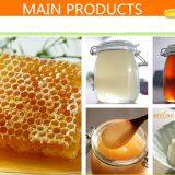 Shandong Miyuan Trade Co.,Ltd company overview - view 2 thumbnail