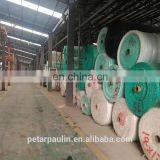 China Powerful Tarpaulin Factory Directly Sell, PE Tarpaulin Sheet, Made of 100% Polyethylene thumbnail-3