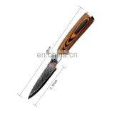 Hot Selling Mini Damascus Paring Knife Stainless Steel thumbnail-3