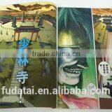FDT Custom Promotional CMYK Wonderful Story Saddle Stitching Cartoon Book