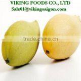 FRESH VIET NAM MANGO HIGHT QUALITY, GOOD PRICE thumbnail-1