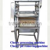 Fruit Stem Removing Machine / Chilli Stem Removing Machine thumbnail-4
