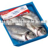 MAP PACK FRESH GUTTED SEABREAM