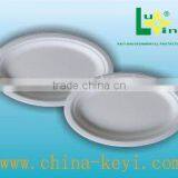 Big Oval Plate thumbnail-1