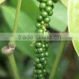 Suvimie Ceylon Black Pepper Corns thumbnail-4