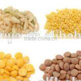 Screw/shell/bulges Extruded Snack Processing Line/food Machine/pellet Chips Making Machine Quality Choice thumbnail-3