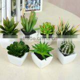 Wholesale Artificial Mini Succulent Flower Plants, Mini Flower Bonsai thumbnail-2