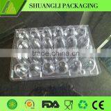 24 Holes Rectangular Clear Transparent Plastic Quail Egg Cartons thumbnail-3