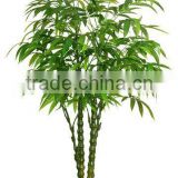 China fake bamboo plant potted in planter