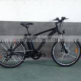 Matte black special tube electric bike