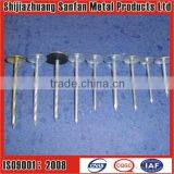 Umbrella Roofing Nails(polished or Galvanized) thumbnail-1