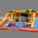 Kids and Adults Big Customized Water Slide/Inflatable Water Slide for Sale