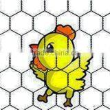 Best Quality Fence Mesh Chicken Wire Mesh 1/2-4 Inch thumbnail-6