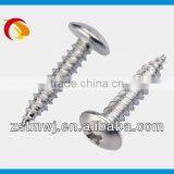 White Phillips Pan Head Screw