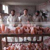 Saamia Impex company overview - view 2 thumbnail