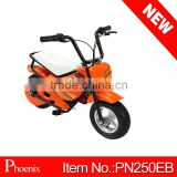 2016 250w electric mini bike for kids ( PN-250EB )