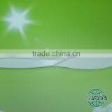 100%biodegradable and Compostable Disposable Cutlery/8 Inch 18.7cm Knife